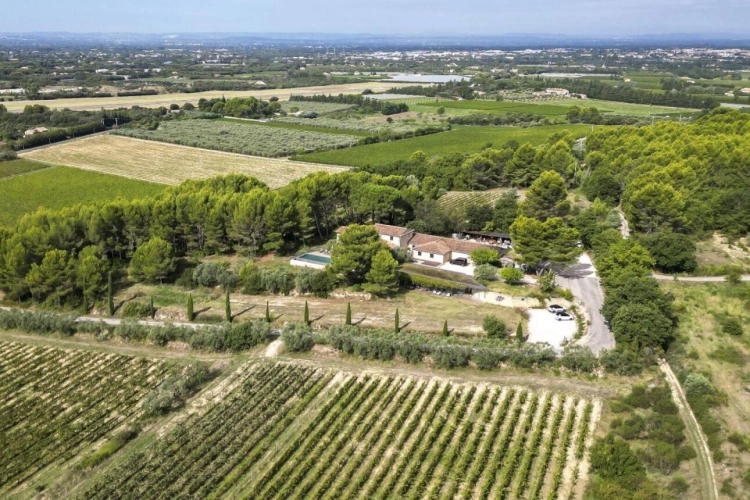 Photos 1 - Viticole - Domaine viticole & Villa contemporaine - Art de vivre en Provence