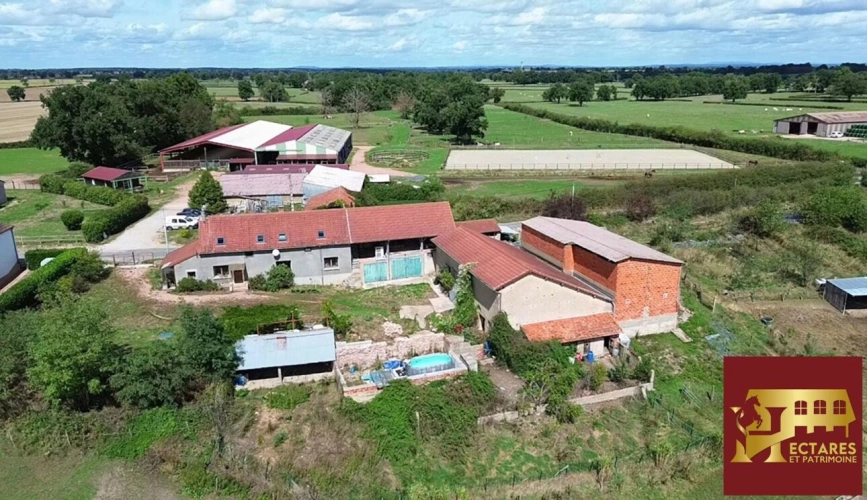 Photos 2 - Equestrian - Structure équestre 28 hectares + fermages possibles