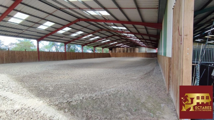 Photos 4 - Equestrian - Structure équestre 28 hectares + fermages possibles