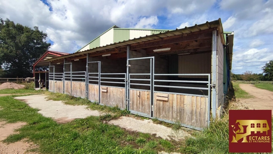 Photos 6 - Equestrian - Structure équestre 28 hectares + fermages possibles