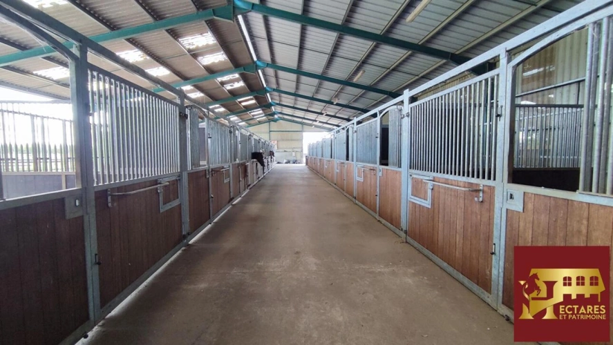 Photos 12 - Equestrian - Structure équestre 28 hectares + fermages possibles