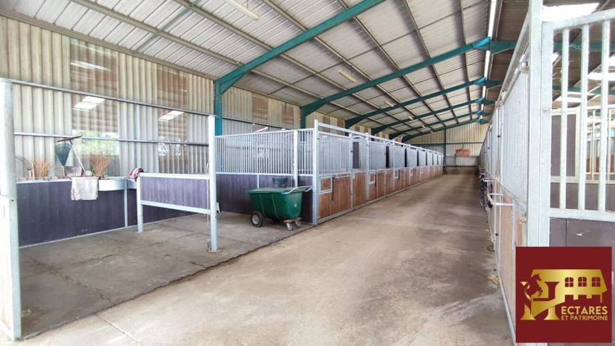 Photos 13 - Equestrian - Structure équestre 28 hectares + fermages possibles