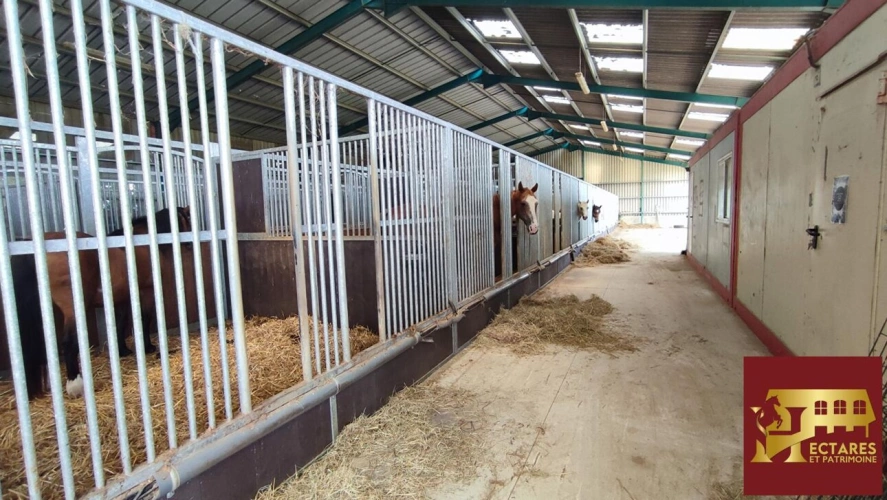 Photos 14 - Equestrian - Structure équestre 28 hectares + fermages possibles