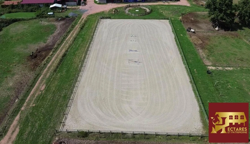 Photos 17 - Equestrian - Structure équestre 28 hectares + fermages possibles