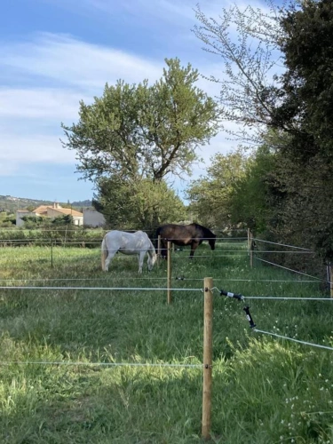 Photos 5 - Équestre - Propriété équestre avec villa et gîtes - Lançon-Provence