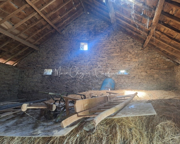 Photos 4 - Prestige - Grange + Maison entre campagne et ville - VENARSAL (19)