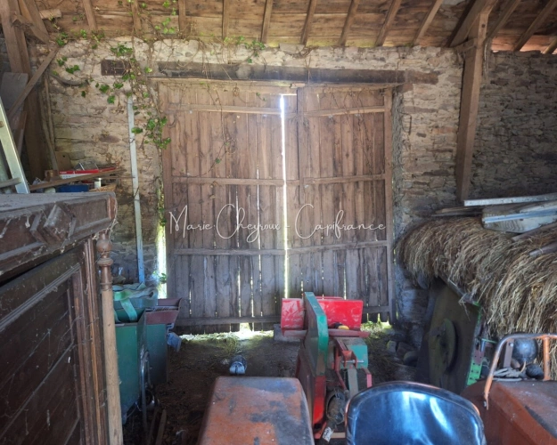 Photos 5 - Prestige - Grange + Maison entre campagne et ville - VENARSAL (19)