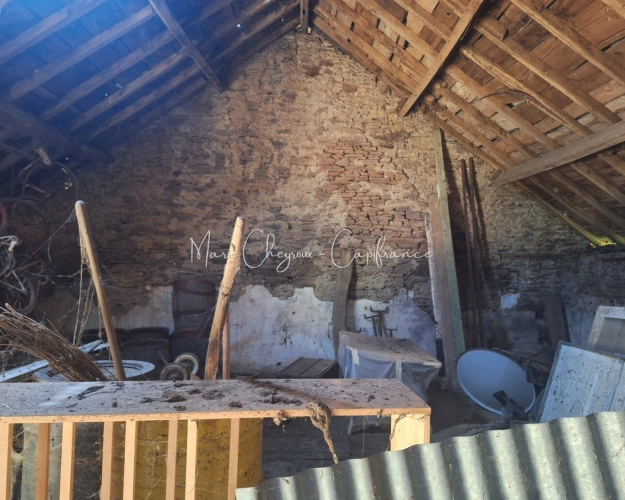 Photos 6 - Prestige - Grange + Maison entre campagne et ville - VENARSAL (19)