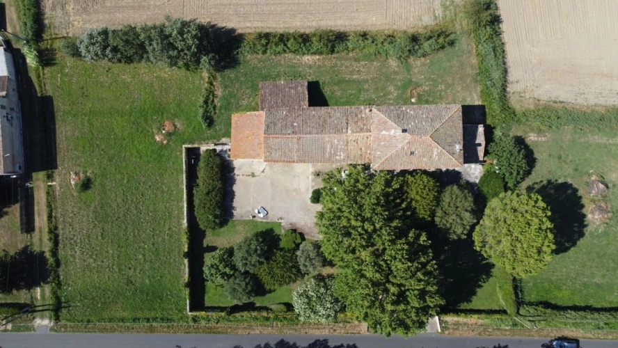 Photos 17 - Prestige - Mas provençal de caractère avec vaste jardin, dépendances et potentiel exceptionnel