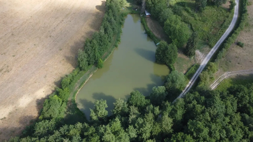 Photos 1 - Rurale - Magnifique étang de loisir