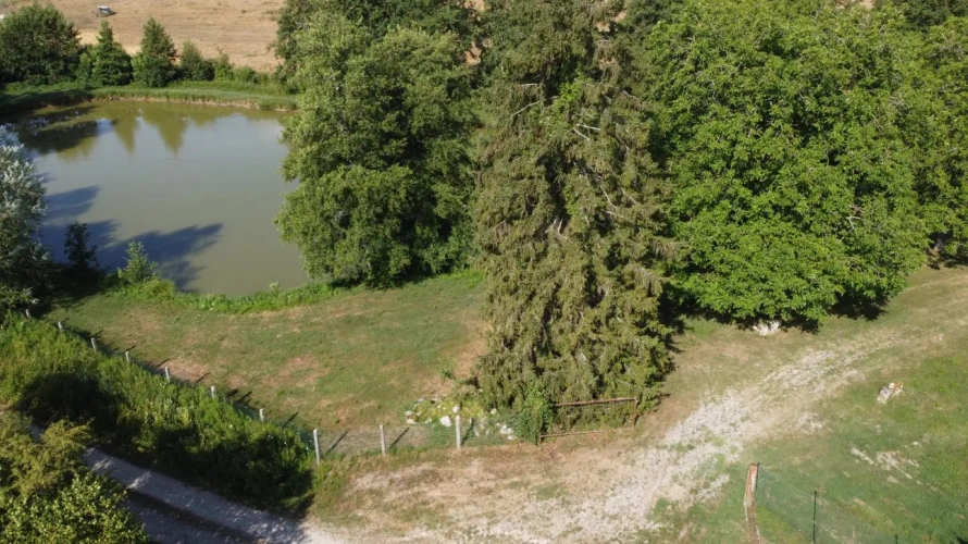 Photos 2 - Rurale - Magnifique étang de loisir