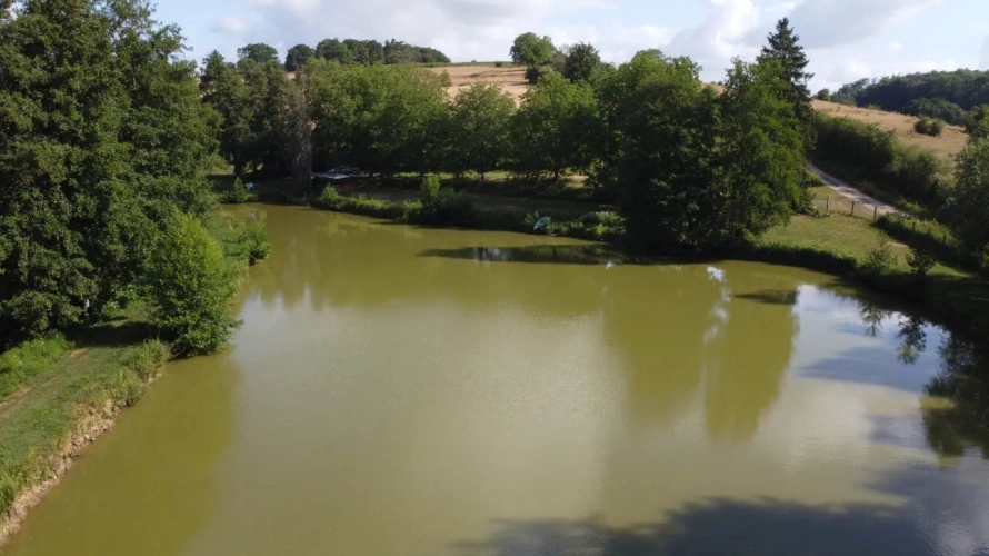 Photos 3 - Rurale - Magnifique étang de loisir