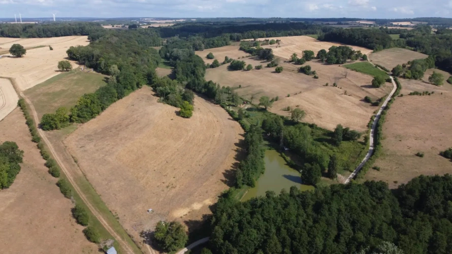Photos 4 - Rurale - Magnifique étang de loisir