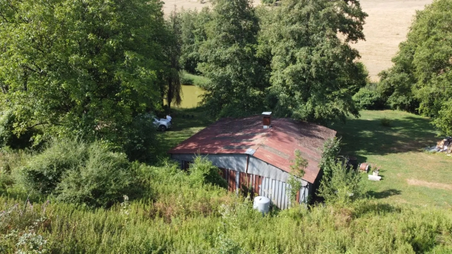 Photos 5 - Rurale - Magnifique étang de loisir