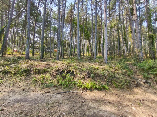 Photos 3 - Touristique - Rare - Terrain boisé 3577 m² avec Permis de Construire Purgé (Villa + 3 Gîtes touristiques) – Sud Ardèche