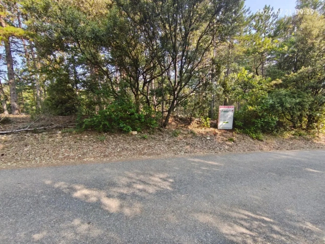 Photos 4 - Touristique - Rare - Terrain boisé 3577 m² avec Permis de Construire Purgé (Villa + 3 Gîtes touristiques) – Sud Ardèche