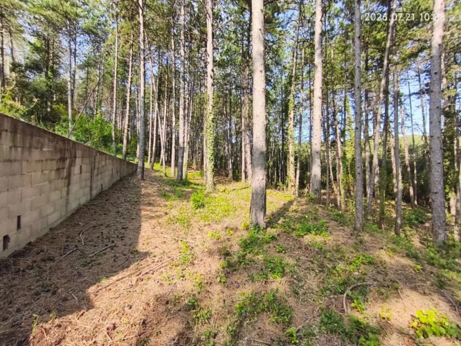 Photos 12 - Touristique - Rare - Terrain boisé 3577 m² avec Permis de Construire Purgé (Villa + 3 Gîtes touristiques) – Sud Ardèche
