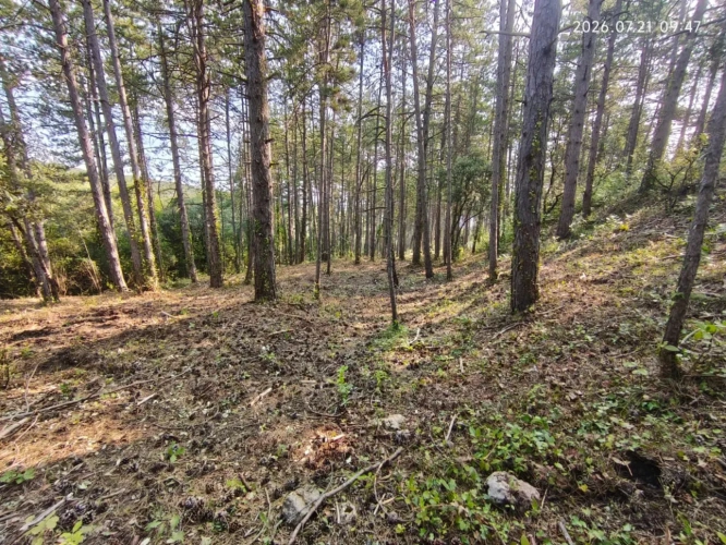 Photos 14 - Touristique - Rare - Terrain boisé 3577 m² avec Permis de Construire Purgé (Villa + 3 Gîtes touristiques) – Sud Ardèche