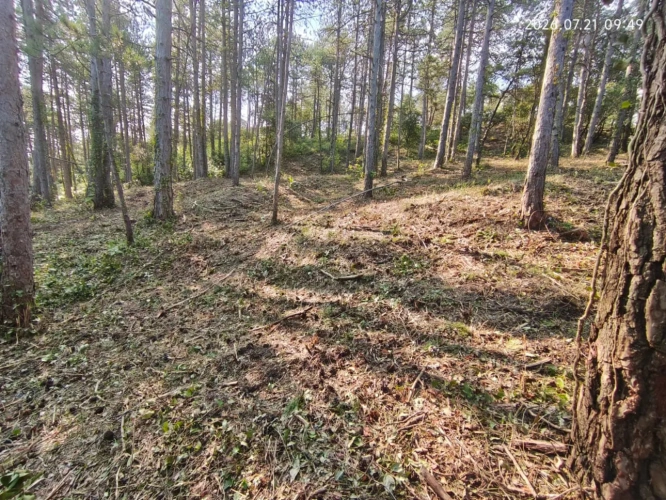 Photos 15 - Touristique - Rare - Terrain boisé 3577 m² avec Permis de Construire Purgé (Villa + 3 Gîtes touristiques) – Sud Ardèche