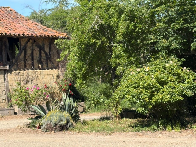 Photos 14 - Prestige - PLAISANCE (32); AUTHENTIQUE MAISON GASCONNE 300M2 dans son jus, un peu cachée, 1HA grandes dependances