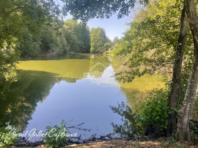 Photos 2 - Forestière - Étang à vendre
