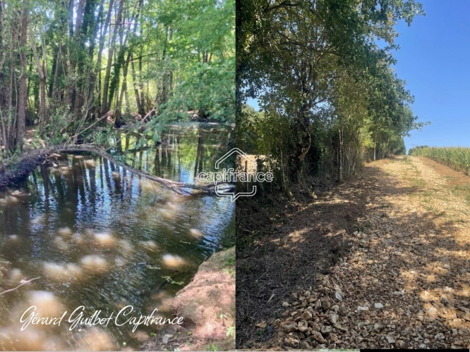 Photos 3 - Forestière - Étang à vendre