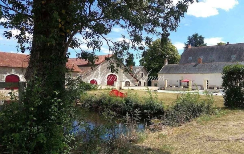 Photos 4 - Prestige - Propriete à vendre 11 pièces LANGEAIS (37)