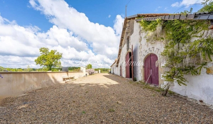 Photos 6 - Prestige - Propriete à vendre 11 pièces LANGEAIS (37)