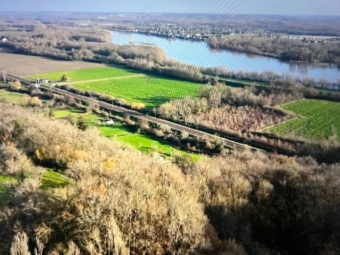 Photos 24 - Prestige - Propriete à vendre 11 pièces LANGEAIS (37)
