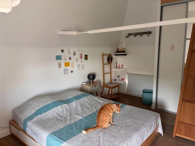 Photos 13 - Prestige - Maison de Maître 240 m2 Coeur de Figeac et Gîte d'étape (Chemins de Compostelle)