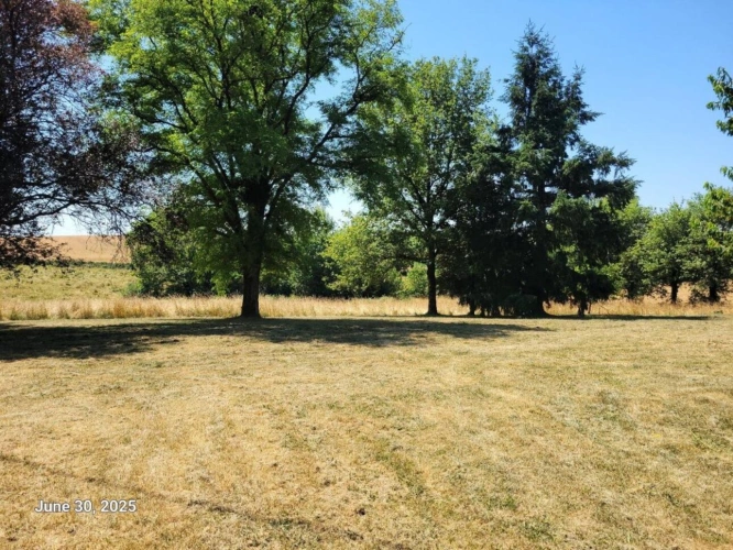 Photos 4 - Rural - Isolated stone farmhouse with outbuildings - 7kms from Villefranche de Rouergue
