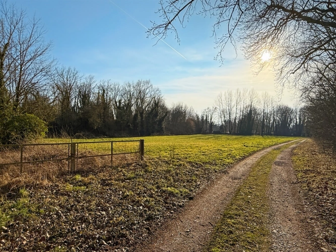 Photos 2 - Rurale - Demeure de Maître à 15min de Cambrai