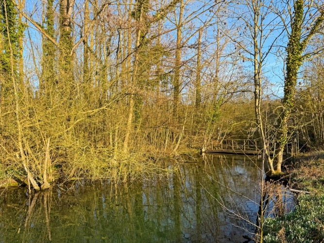 Photos 3 - Rurale - Demeure de Maître à 15min de Cambrai