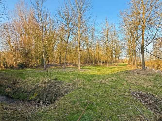 Photos 14 - Rurale - Demeure de Maître à 15min de Cambrai