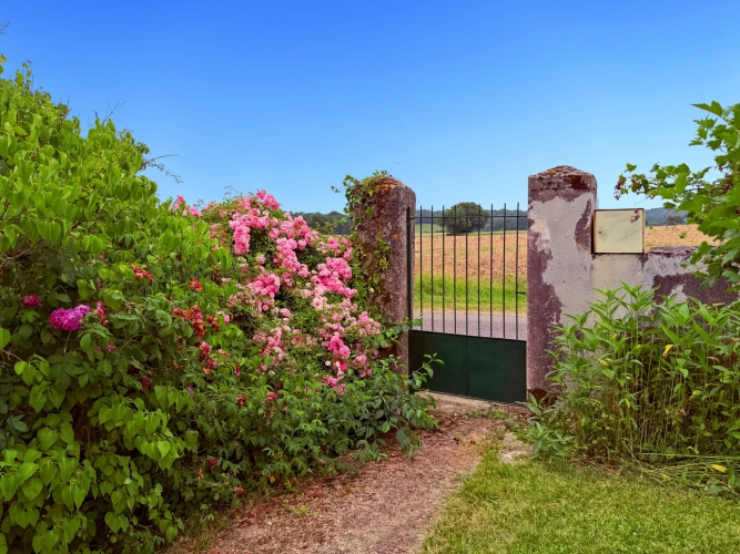 Photos 21 - Touristique - Propriété 358 m2 à vendre -avec 7700 m2 de parc - Maison 8 pièces de 234 m2, gîte de 124 m2 et piscine proche de MARCIAC (32)