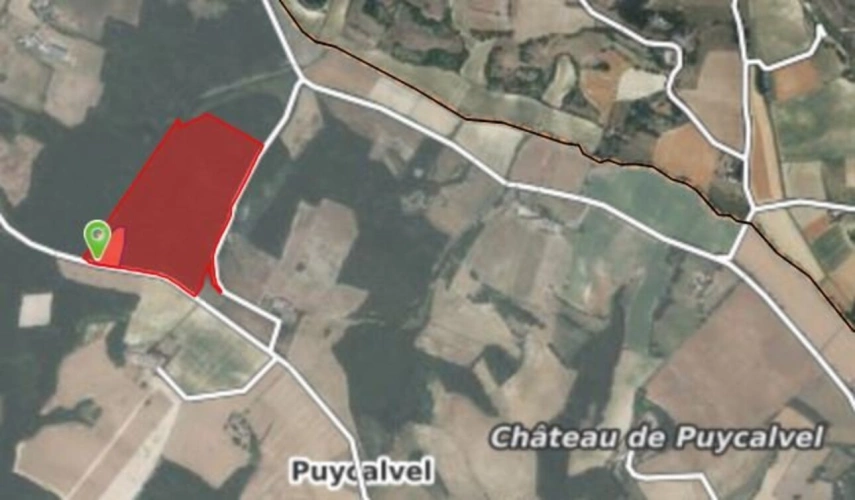 Photos 3 - Prestige - Maison 249 M2 sur terrain 14 hectares