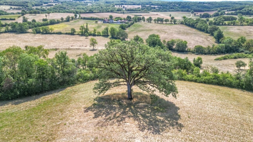 Photos 5 - Prestige - Château historique de 1501 avec vue panoramique et commodités à pied