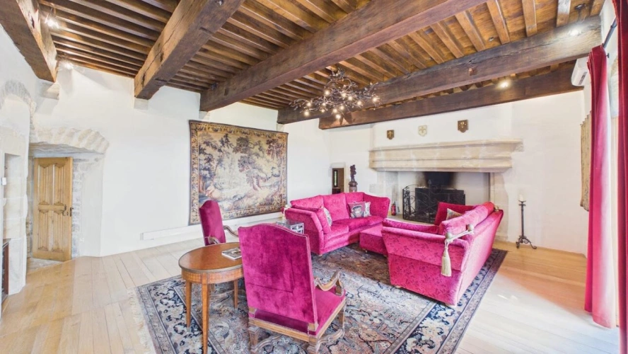 Photos 19 - Prestige - Château historique de 1501 avec vue panoramique et commodités à pied