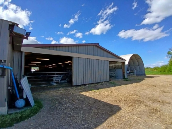 Photos 9 - Agricole - Exploitation caprine avec transformation fromagère, vente di