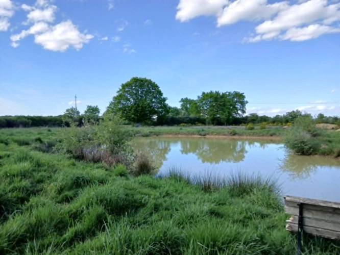Photos 17 - Agricole - Exploitation caprine avec transformation fromagère, vente di