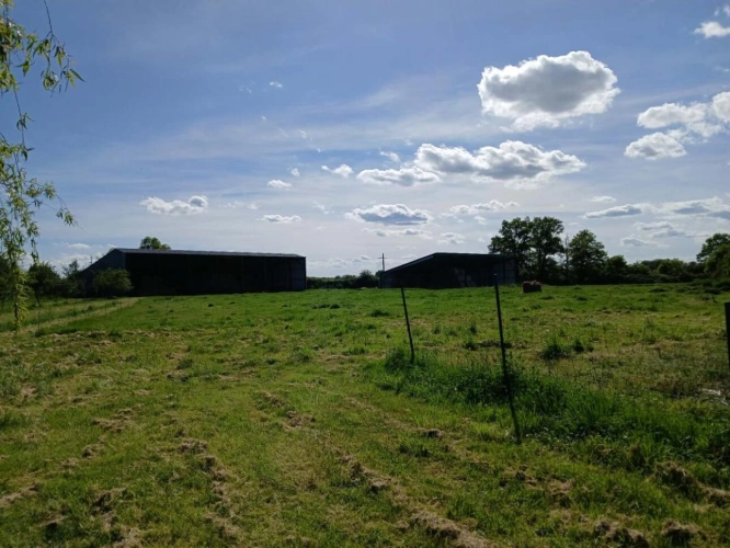 Photos 18 - Agricole - Exploitation caprine avec transformation fromagère, vente di