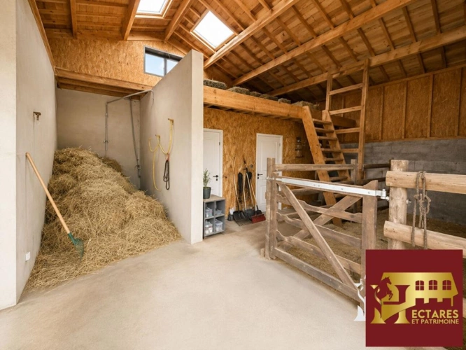 Photos 10 - Équestre - Propriété équestre, 2,5 Hectares, maison récente de 165m2, logement indépendant