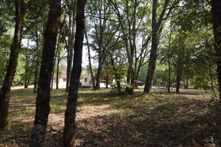Photos 3 - Prestige - Belle Propriété à vendre 5 pièces VERS (46)