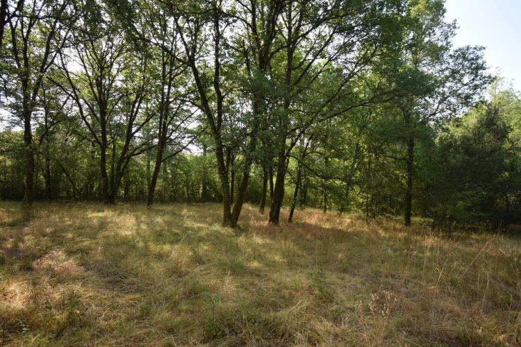 Photos 5 - Prestige - Belle Propriété à vendre 5 pièces VERS (46)