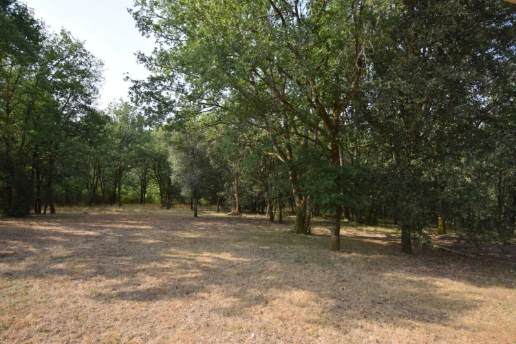 Photos 7 - Prestige - Belle Propriété à vendre 5 pièces VERS (46)