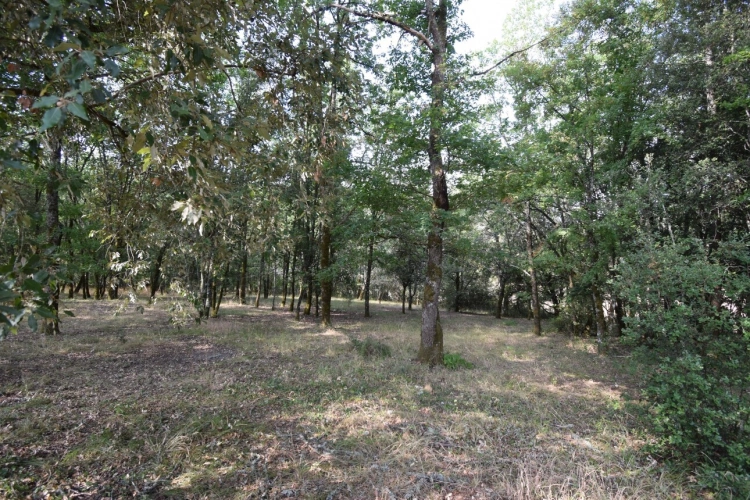 Photos 19 - Prestige - Belle Propriété à vendre 5 pièces VERS (46)