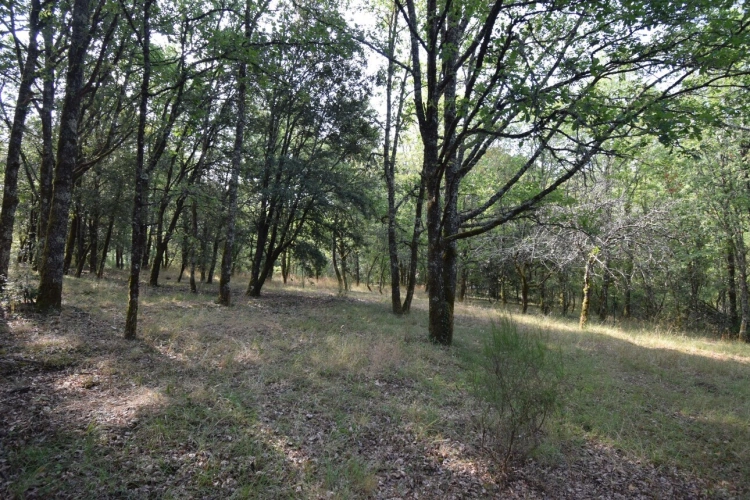 Photos 21 - Prestige - Belle Propriété à vendre 5 pièces VERS (46)