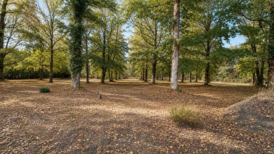 Photos 7 - Prestige - Propriété à vendre 215m² SAINT JEAN D'ILLAC (33)