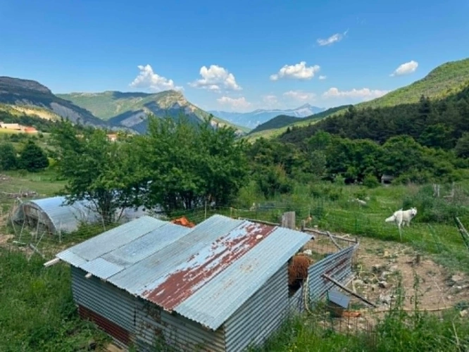Photos 5 - Touristique - Propriété en pierres avec 2 maisons et 3 hectares de terrain – La Piarre (05)