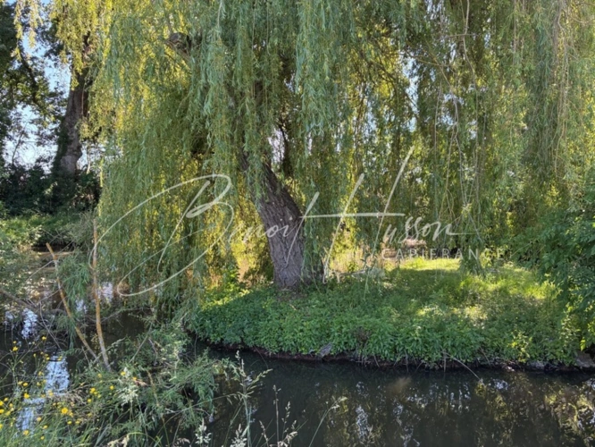 Photos 5 - Rurale - DOMAINE RURAL DE CARACTÈRE – 600 m² DE SURFACES – TERRAIN 6 843 m²